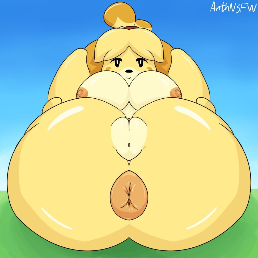 1girls alternate_version_available animal_crossing anthnsfw anthro anus areolae ass barefoot big_breasts breasts canid canine canis completely_nude completely_nude_female female female_only full_body fur furry furry_only holding_legs isabelle_(animal_crossing) large_ass legs_apart looking_at_viewer naked naked_female nintendo nipples nude nude_female on_back pussy smile solo solo_female