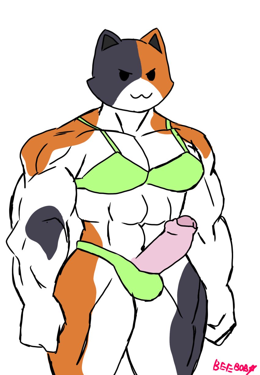 abs anthro beeboobob_(artist) black_body black_fur bra bulge calico_cat clothing domestic_cat epic_games erection felid feline felis foreskin fortnite fur genitals girly hi_res humanoid male male_only mammal meowscles meowscles_(fortnite) muscular muscular_male orange_body orange_fur pecs penis pink_penis rape_face solo standing thick_thighs thong underwear white_body white_fur