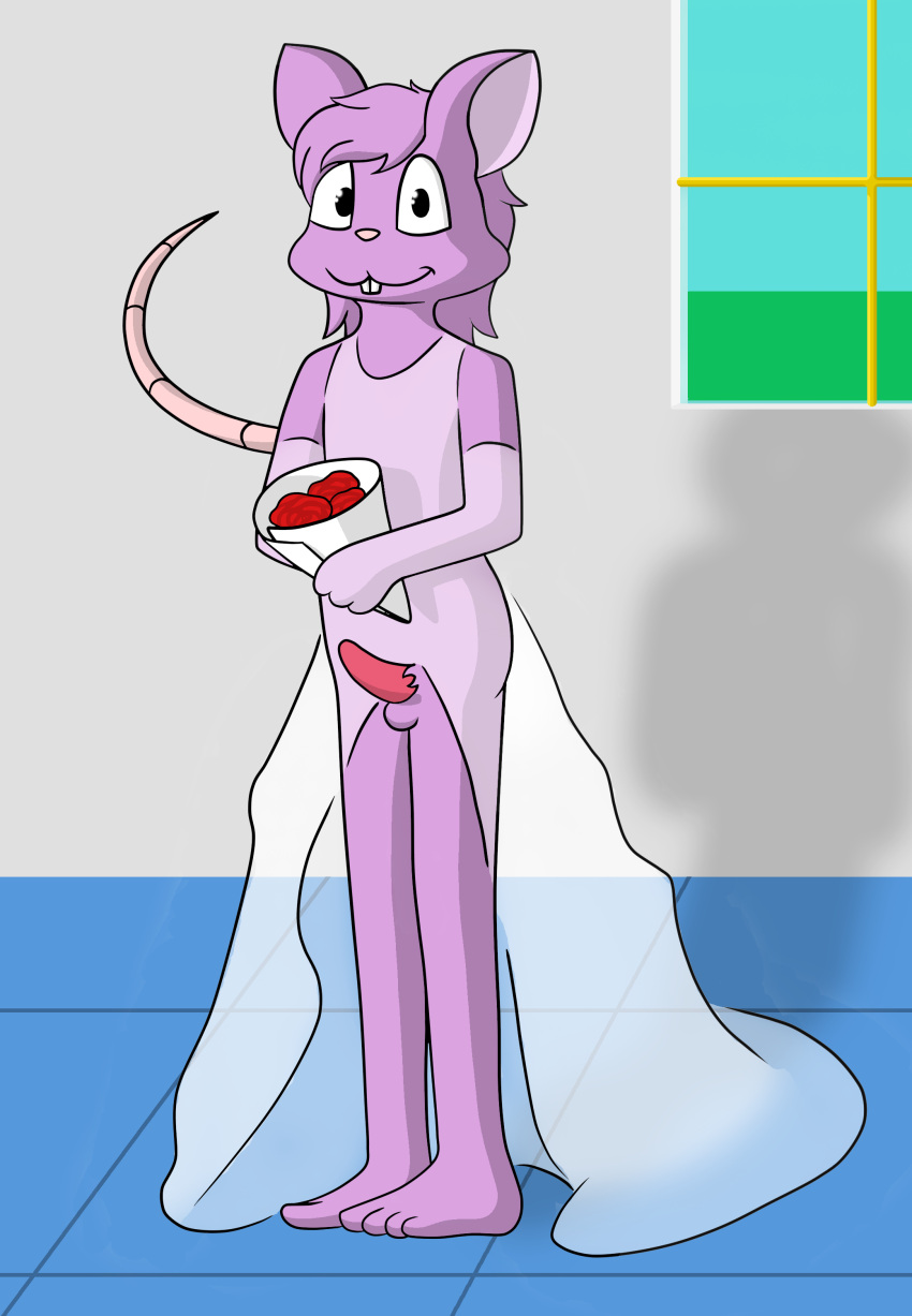 absurd_res animal_humanoid anthro bride church clothed clothing crossdressing erection genitals hi_res humanoid lucyhaupdarsteller male male_only mammal mammal_humanoid mouse mouse_humanoid murid murid_humanoid murine murine_humanoid penis punpun rodent rodent_humanoid solo