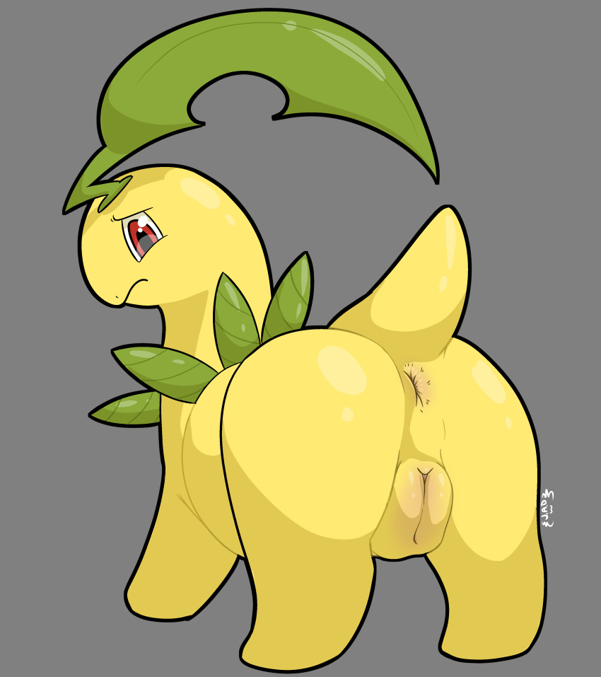 absurd_res anus ass bayleef embarrassed female feral generation_2_pokemon genitals hi_res j.a.d looking_at_viewer looking_back looking_back_at_viewer nintendo pokemon pokemon_(species) presenting presenting_hindquarters presenting_pussy pussy quadruped rear_view solo tail