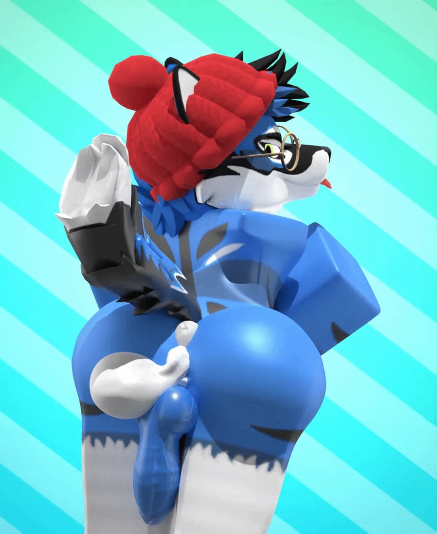 1boy 3d 3d_animation akaritheyeen animated anthro anus ass balls beanie big_ass blep blue_penis bouncing_balls clothing curvy_ass curvy_figure curvy_male eyewear femboy fur furry genitals glasses hat headgear headwear hi_res knot looking_at_viewer looking_back male penis presenting presenting_anus presenting_balls presenting_hindquarters presenting_penis rexouium roblox robloxian solo tail tail_motion tailwag thick_ass tongue tongue_out white_anus white_balls