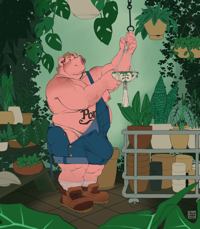 2023 5_fingers anthro belly_tattoo boots bulge clothing digital_drawing_(artwork) digital_media_(artwork) domestic_pig erebonbon fingers footwear hair hi_res male mammal musclegut muscular muscular_anthro muscular_male nipples overweight overweight_anthro overweight_male plant socks solo standing suid suina sus_(pig) tattoo