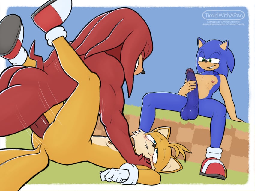 Knuckles The Echidna (Sega) Rule 34 Image