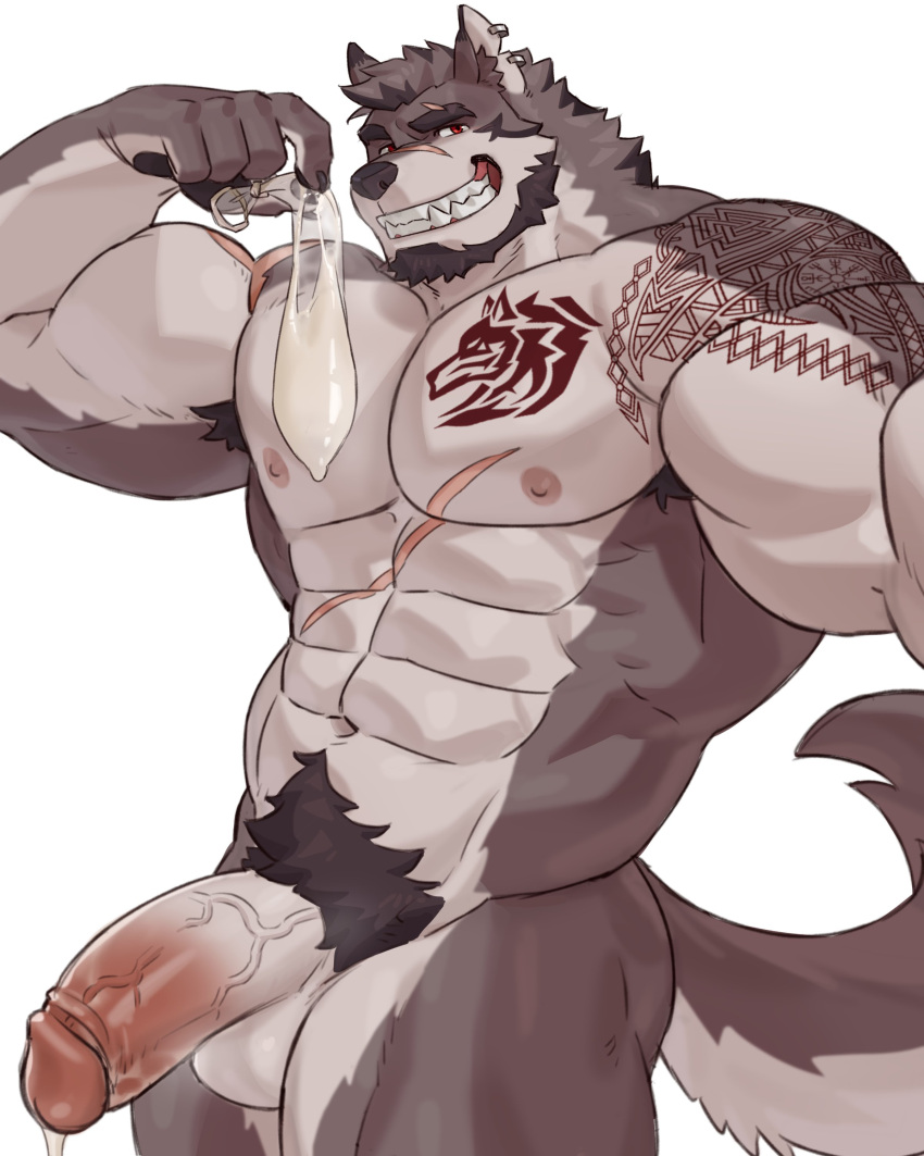 1boy 2020s 2023 abdominal_scar abs absurd_res anthro arm_tattoo armpit_hair augar_(augarrwoof) balls beard biceps black_beard bodily_fluids body_hair canid canine canis chest_scar chest_tattoo condom cum ear_piercing ear_ring erection eyebrow_scar facial_hair facial_scar filled_condom fur gay genital_fluids genitals grey_body grey_fur grey_hair hair happy_trail hi_res holding_condom holding_object imato leaking_cum male male_only mammal multicolored_body multicolored_fur muscular muscular_anthro muscular_male nipples nose_scar obliques pecs penis piercing pubes ring_piercing scar sexual_barrier_device sharp_teeth shoulder_scar shoulder_tattoo solo solo_male tattoo teeth vein veiny_penis white_body white_fur wolf