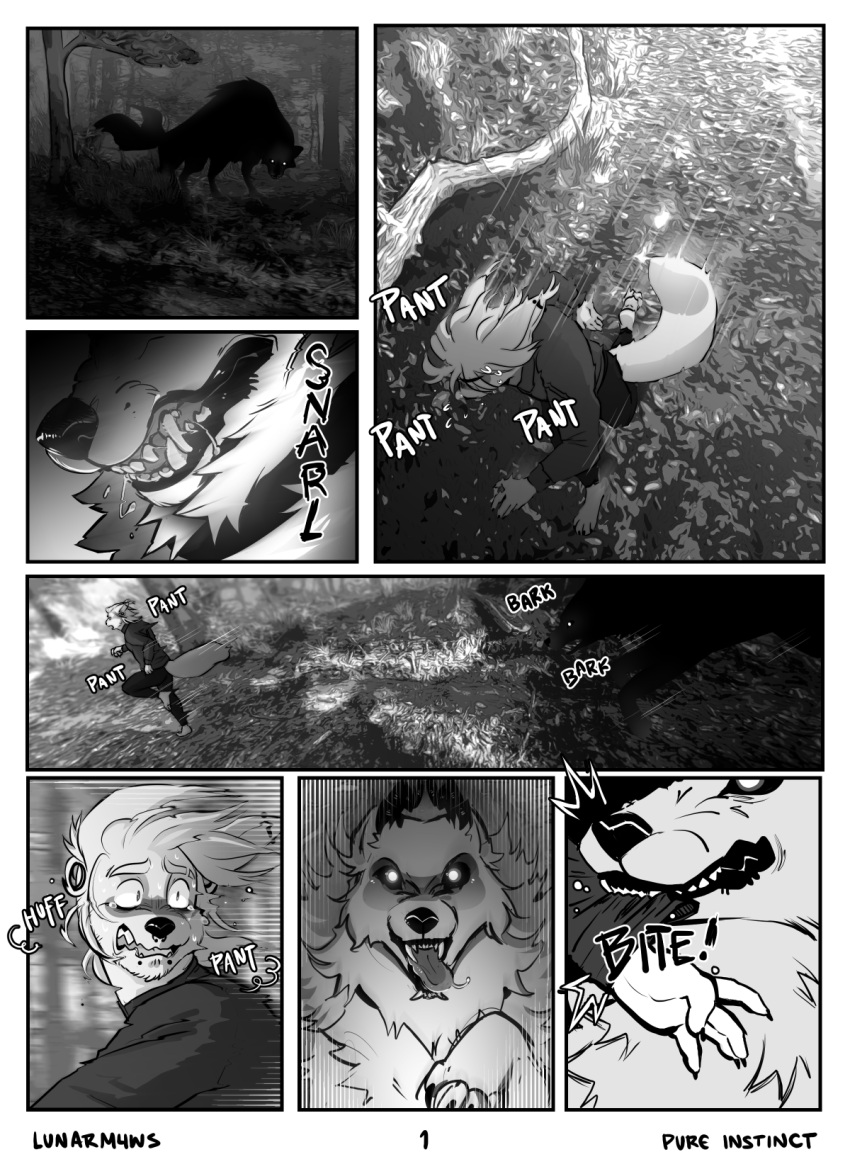 anthro bite black_and_white canid canine canis caracal caracal_(genus) comic cuntboy domestic_dog duo felid feline feral forest forest_background hi_res hunting_dog intersex intersex/male isaac_(lumens8ite) lumens8ite male mammal monochrome nature nature_background open_mouth page_1 plant predator/prey predatory_look questionable_consent scared size_difference sugarpill_(lumens8ite) tree wolf