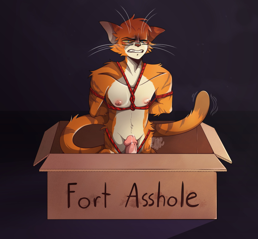 angry anthro artbyawnie awnie bodily_fluids bondage bondage bound box cardboard cardboard_box container domestic_cat dribble erection eyewear eyewear_on_head felid feline felis fort_asshole genital_fluids genitals glasses glasses_on_head hands_behind_back hi_res leaking leaking_precum male mammal meme penis precum red_rope restraints rope rope_bondage rope_harness solo stuck twitching_tail whiskers