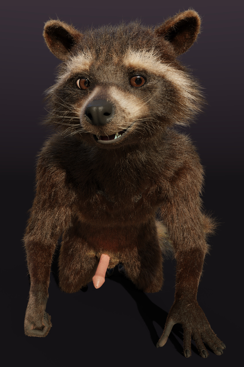 3d_(artwork) absurd_res all_fours anthro balls brown_body brown_eyes brown_fur claws crouching digital_media_(artwork) disney erection facial_markings front_view fur genitals guardians_of_the_galaxy head_markings hi_res kneeling looking_at_viewer low-angle_view male male_only mammal markings marvel mask_(marking) nude penis procyonid raccoon rocket_raccoon rockyrcoon simple_background smile solo white_muzzle