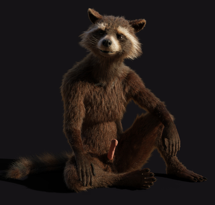 3d_(artwork) absurd_res anthro balls brown_body brown_eyes brown_fur claws digital_media_(artwork) disney erection facial_markings front_view fur genitals guardians_of_the_galaxy head_markings hi_res male male_only mammal markings marvel mask_(marking) nude penis procyonid raccoon rocket_raccoon rockyrcoon simple_background sitting smile solo spread_legs spreading white_muzzle