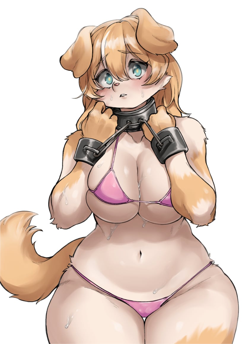 1girls 2023 big_breasts bikini blush breasts canine dog_ears dog_girl dog_tail eyebrows eyebrows_visible_through_hair female female_only furry furry_only navel scared_expression shackles simple_background sleepiness18 teal_eyes tears teeth yellow_body yellow_sclera