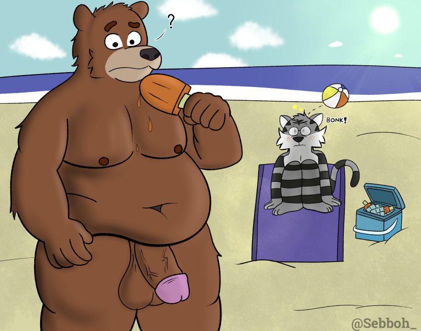 absurd_res anthro ball balls beach beach_ball bear dean_(password) duo embarrassed felid genitals half-erect hi_res inflatable male male_only mammal moobs nipples nude outside pantherine penis seaside sebboh slightly_chubby standing tiger unaware