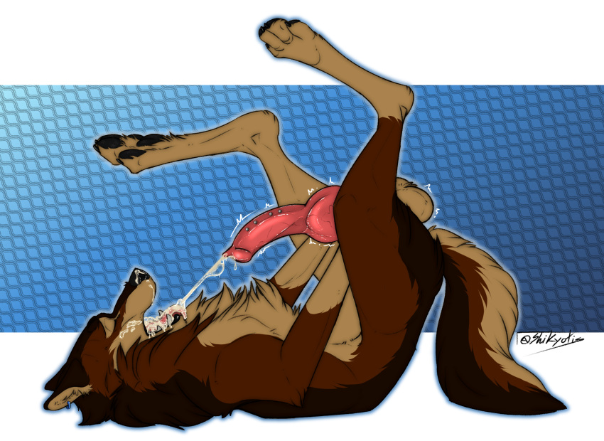 2023 4_toes anatomically_correct anatomically_correct_genitalia anatomically_correct_penis animal_genitalia animal_penis anthro balls big_balls big_knot bodily_fluids brown_body brown_fur canid canine canine_genitalia canine_penis canis claws closed_eyes cum cum_in_mouth cum_in_own_mouth cum_in_self cum_inside cum_on_face cum_on_self cum_on_tongue digital_drawing_(artwork) digital_media_(artwork) digitigrade ear_piercing ear_ring ejaculation erection feet feral frenum_ladder frenum_piercing fur genital_fluids genital_piercing genitals hi_res karn_(karn_the_wolf) knot ladder_piercing lying male mammal masturbation on_back pawpads paws penile penile_masturbation penis penis_piercing piercing quadruped ring_piercing shikyotis signature simple_background solo tail throbbing_balls throbbing_penis toes tongue wolf