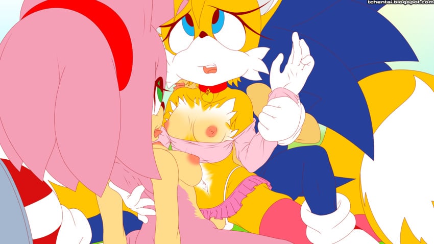 2boys amy_rose bisexual female sonic_(series) sonic_the_hedgehog tails tails_the_fox tcprod