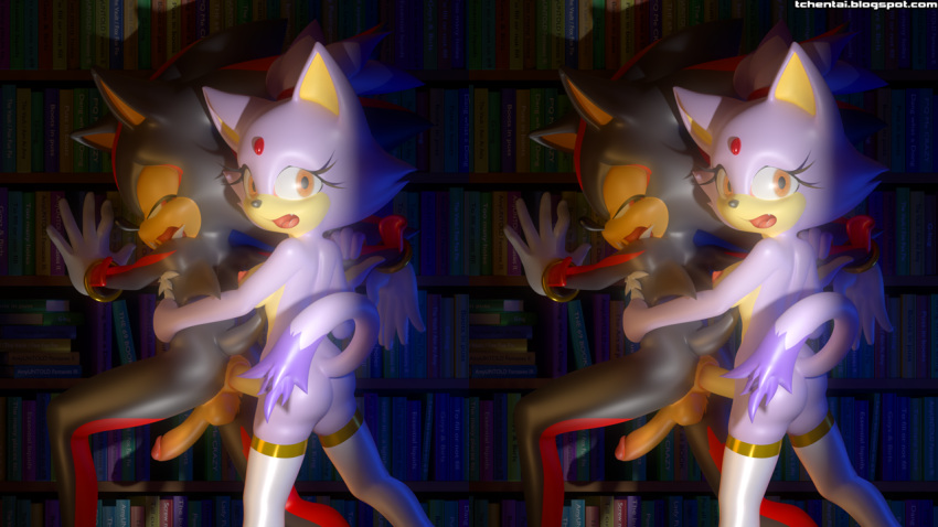 3d blaze_the_cat caught_in_the_act futa_on_male futanari shadow_the_hedgehog sonic_(series) stereogram tcprod