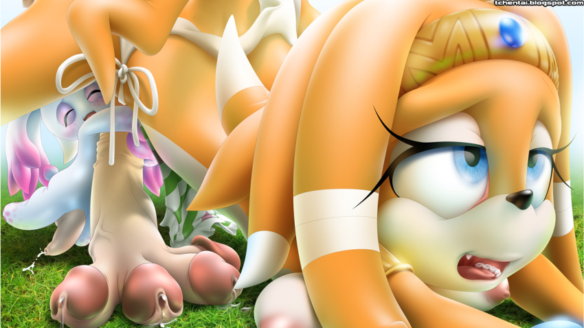 anthro breasts chao futanari humanoid_penis male male_on_male monophallia multi_penis penis smile sonic_(series) tcprod tetraphallia tikal_the_echidna unusual_penis