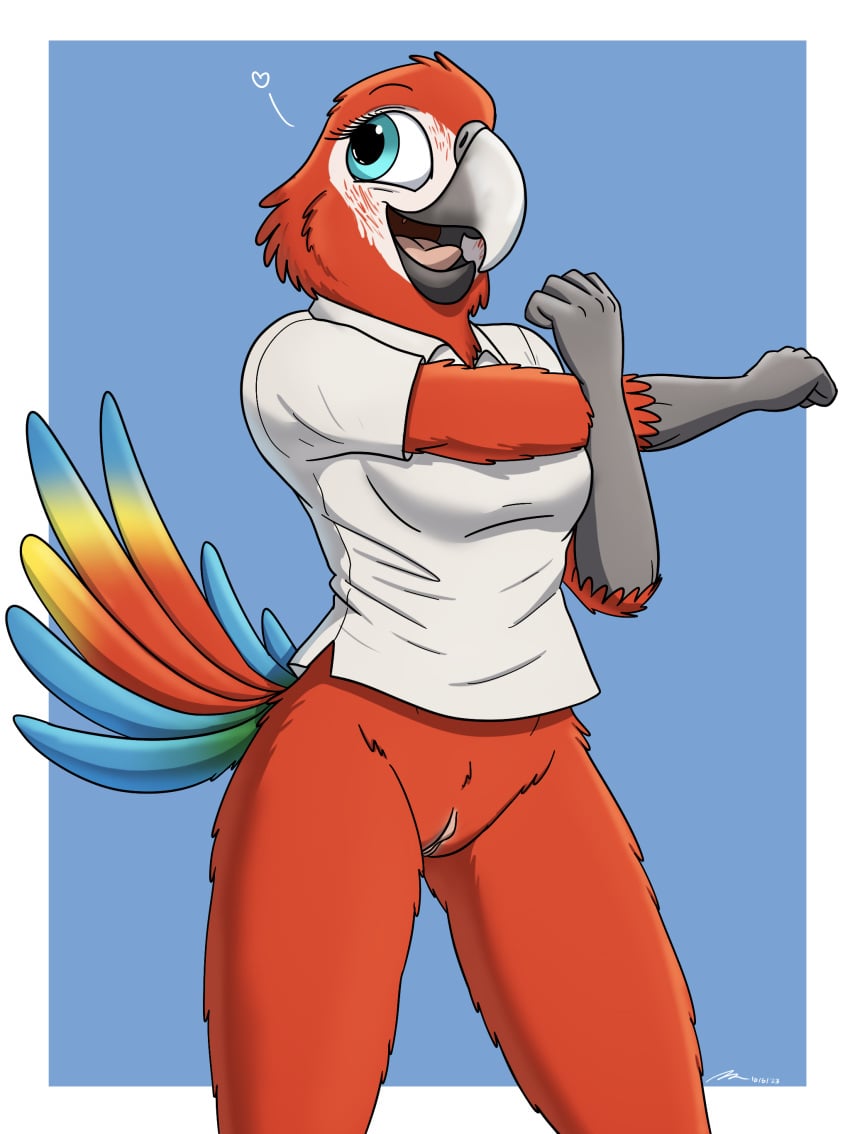 absurd_res anthro avian bird bottomless clothed clothing cute_expression female fish_birb genitals heart hi_res macaw neotropical_parrot parrot polo_shirt pussy samantha_(fish_birb) shirt solo stretching topwear true_parrot