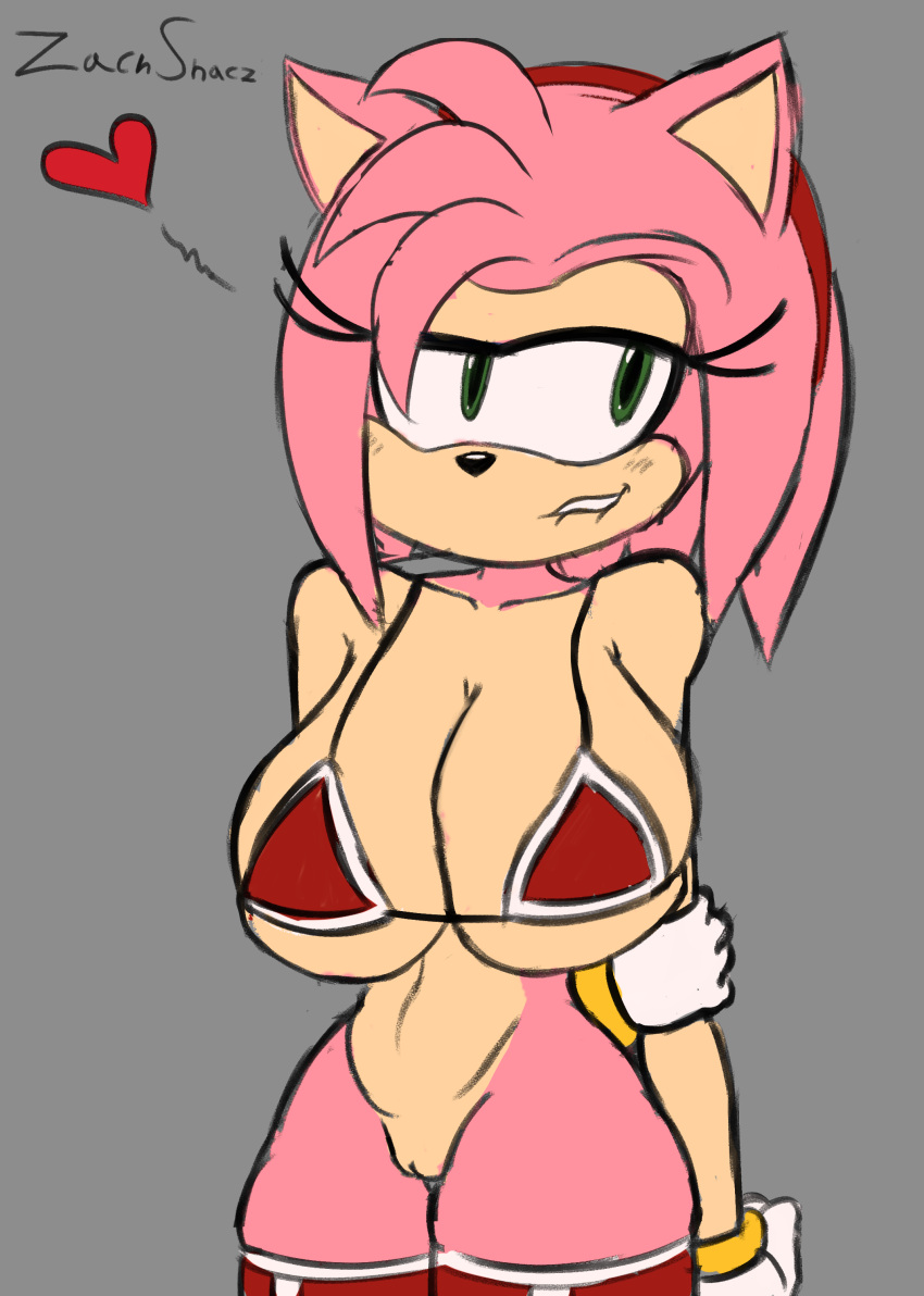 1girls amy_rose big_breasts bikini_top bikini_top_only biting_lip blush cameltoe female female_only furry furry_only gloves hand_behind_back heart looking_away looking_away_from_viewer looking_to_the_side pink_fur sega sonic_(series) sonic_the_hedgehog_(series) thighhighs zachshacz