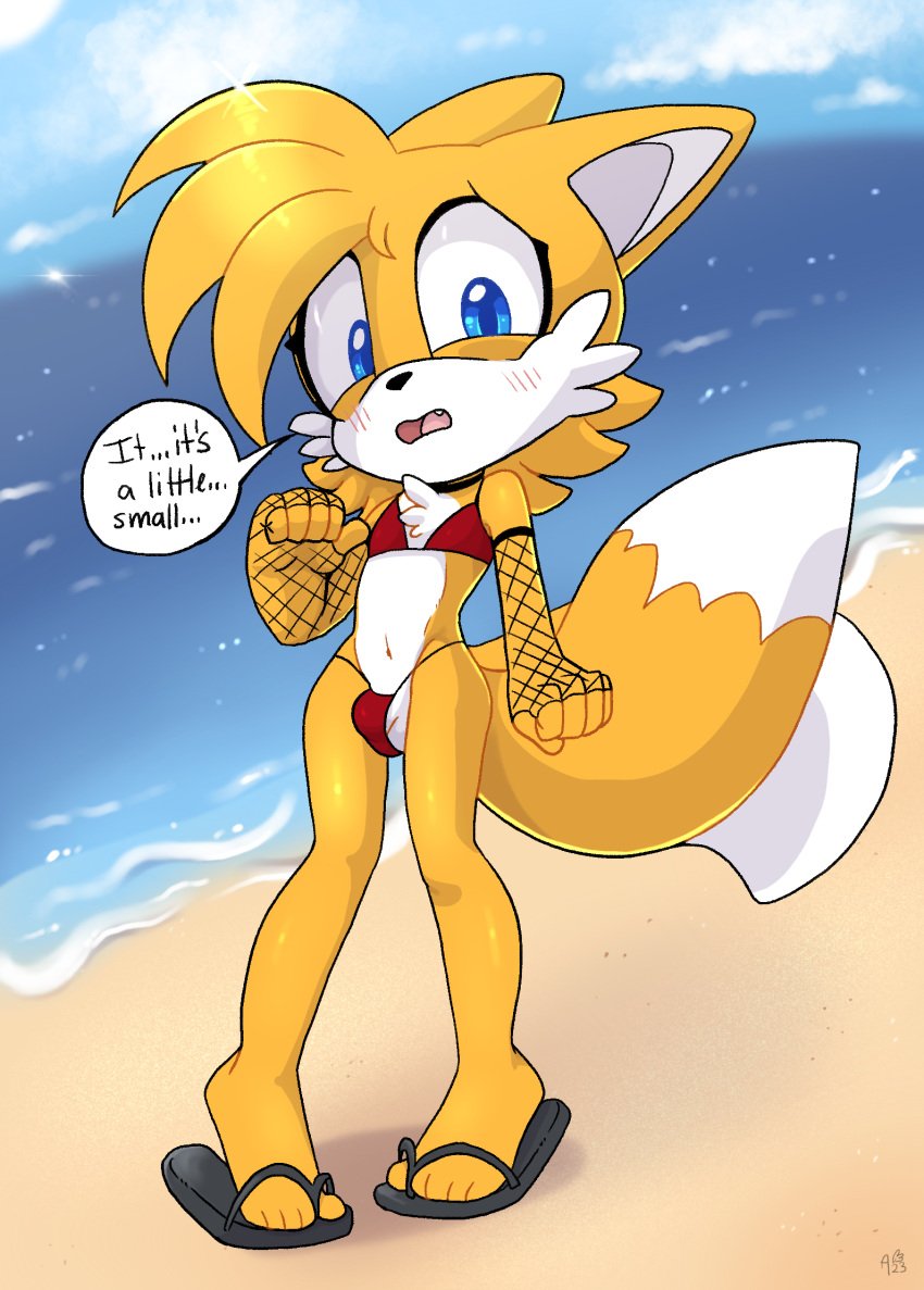 anthro armwear balls beach bikini blush canid canine chest_tuft choker clothed clothing crossdressing dialogue english_text femboy fishnet fishnet_armwear flip_flops footwear fox genitals girly hi_res jewelry looking_at_viewer male mammal necklace nekoniku penis penis_peek sandals seaside sega solo sonic_(series) sonic_the_hedgehog_(series) swimwear tails text tuft