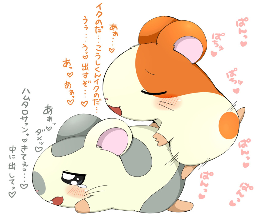 anal anal_sex azuo blush bodily_fluids cricetid cum_inside_request duo feral feral_on_feral feral_penetrated feral_penetrating feral_penetrating_feral from_behind_position fur grey_body grey_fur hamster hamtaro hamtaro_(series) heart_after_text hi_res japanese_text male male/male male_penetrated male_penetrating male_penetrating_male mammal orange_body orange_fur oxnard_(hamtaro) penetration penile penile_penetration penis_in_ass rodent sex simple_background tan_body tan_fur tears text thrusting translation_request white_background