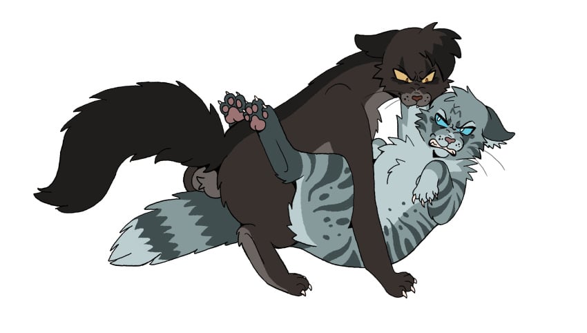 angry balls breezepelt_(warriors) domestic_cat duo felid feline felis feral feral_on_feral feral_penetrated feral_penetrating feral_penetrating_feral genitals hi_res jayfeather_(warriors) male male/male male_penetrated male_penetrating male_penetrating_male mammal newtcreek penetration questionable_consent sex teeth warriors_(cats)