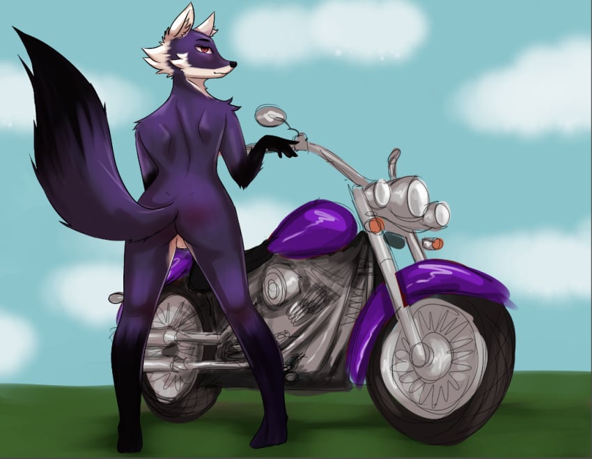 anthro ass backsack balls black_body black_fur black_nose black_tail canid canine digital_media_(artwork) fox fur genitals i_dont_really_know jay_(i_dont_really_know) looking_at_viewer male mammal motorcycle nude purple_body purple_fur purple_motorcycle red_eyes simple_background smile solo tail vehicle white_body white_fur