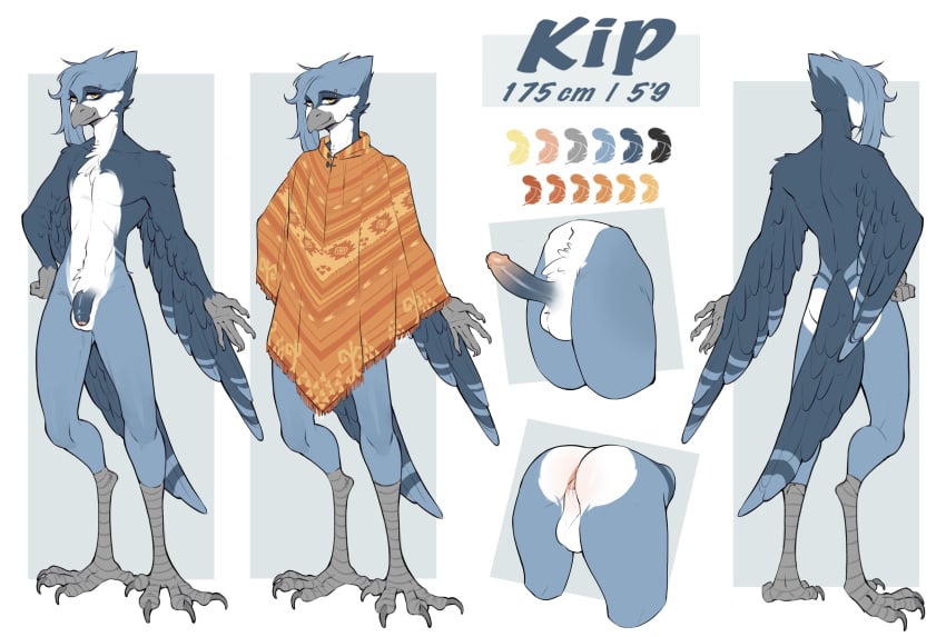 absurd_res anthro avian avian_feet balls beak bird blue_body blue_feathers chest_tuft clothing color_swatch erection eyebrow_piercing facial_piercing feathers flaccid foreskin genitals hair hi_res hirundinid house_martin humanoid_genitalia kip_(kjip) long_hair male male_only martin_(bird) oscine passerine penis piercing pinup poncho pose presenting reference_image side_cut solo thethinghidding tuft white_body white_feathers winged_arms wings yellow_eyes