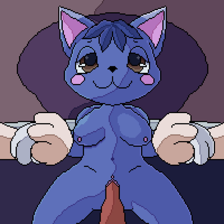 animal_crossing animated anthro belly blue_body blue_fur breast_play breasts brown_eyes digital_media_(artwork) domestic_cat felid feline felis female female_penetrated fur genitals hi_res lawealewd male male/female mammal navel nintendo nipples penetration penis pixel_(artwork) pussy rosie_(animal_crossing) sex vaginal_penetration