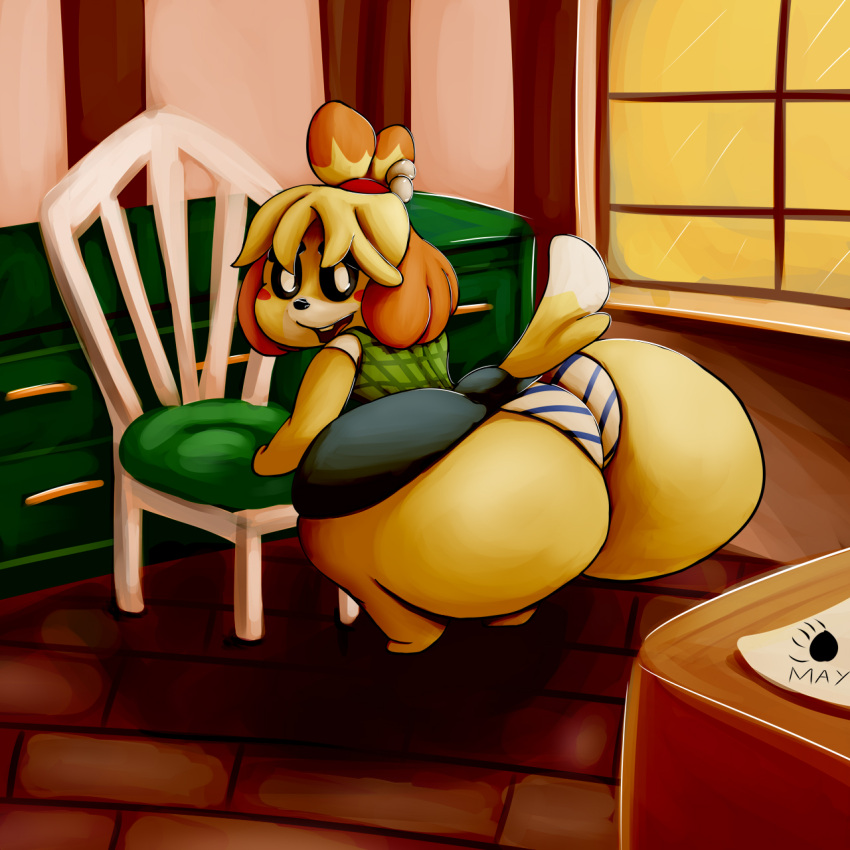 1girls animal_crossing anthro ass blonde_hair cabinet canine canine_humanoid chair dat_ass dialbforbear dog female female_focus female_only furry hyper hyper_ass isabelle_(animal_crossing) large_ass looking_back nintendo panties presenting presenting_hindquarters shih_tzu shortstack skirt striped_panties underwear wardrobe_malfunction yellow_fur