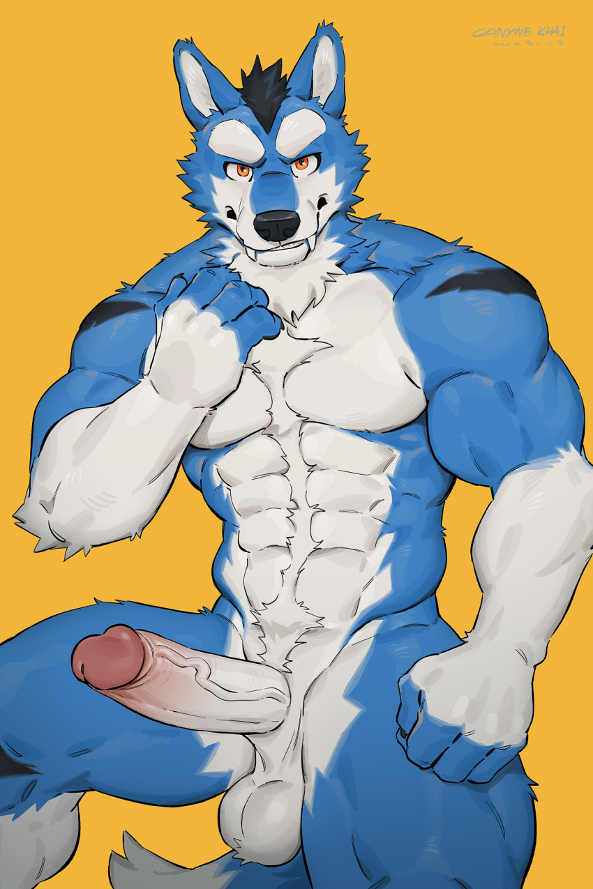 2023 2:3 4_fingers anthro balls blue_body blue_fur canid canine canyne_khai claws countershade_face countershade_fur countershade_torso countershading erection eyebrows fangs fingers fur genitals glans hi_res humanoid_genitalia humanoid_penis looking_at_viewer male mammal muscular muscular_anthro muscular_male penis seto_(seto_r30) solo tail teeth vein veiny_penis