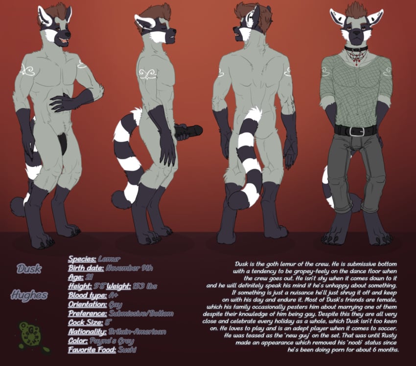 anthro behind_the_lens dusk_(behind_the_lens) erection genitals germees grey_body humanoid_genitalia humanoid_penis lemur lightdevil long_tail male mammal model_sheet penis primate solo strepsirrhine stripes tail turnaround webcomic