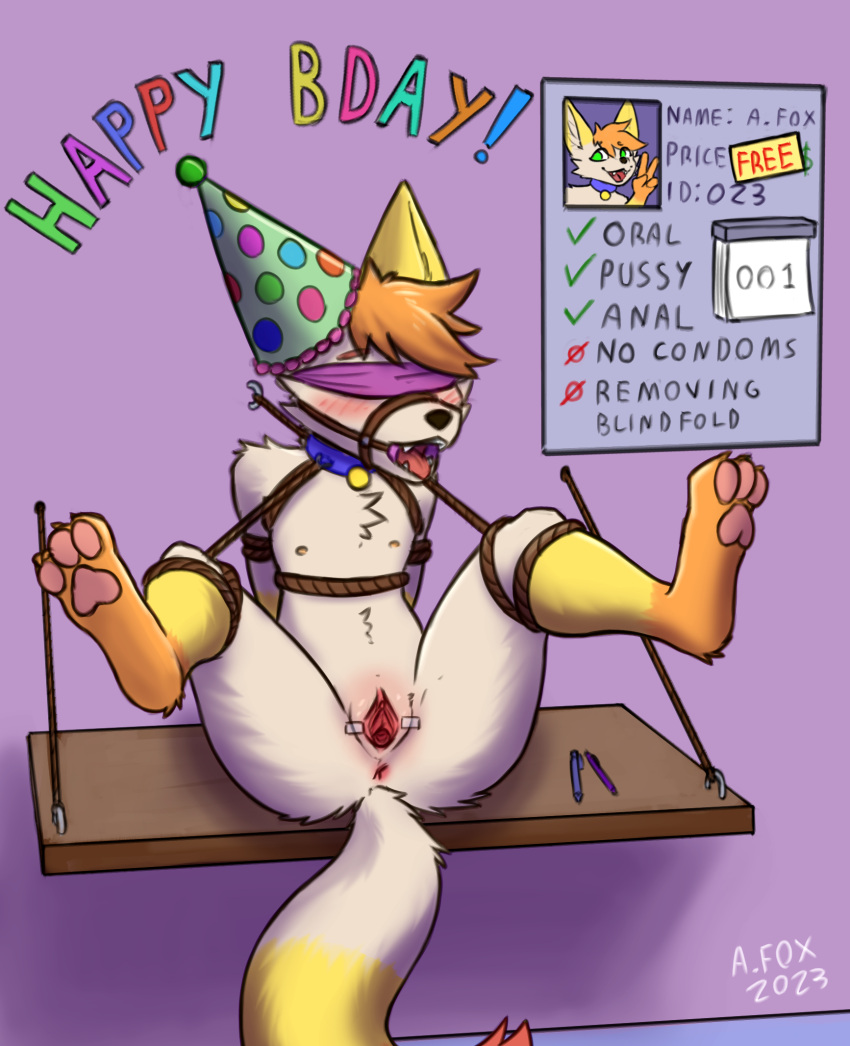 albafox andromorph anthro anus birthday birthday_hat blindfold blush body_blush bound canid canine cuntboy fox gag genitals hi_res intersex mammal mr.albafox public public_exposure public_use pussy pussy_blush solo spread_legs spread_pussy spreading