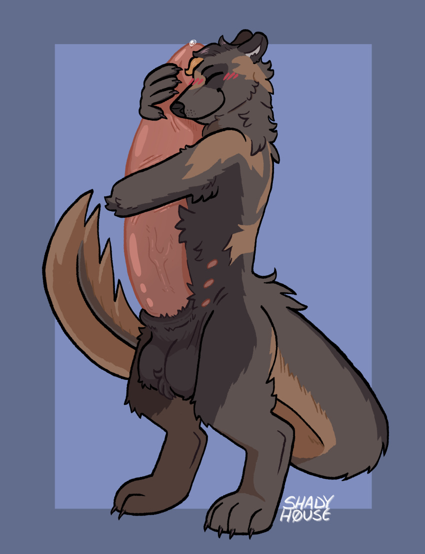 absurd_res anthro balls belly_nipples big_penis big_tail blush blush_lines bodily_fluids brown_body brown_fur domestic_ferret embrace fur genital_fluids genitals hi_res hug huge_cock hybrid hyper hyper_genitalia hyper_penis mammal mephitid mustelid musteline nipples nonbinary_(lore) orange_body orange_fur penis penis_hug precum shadyhouse skunk solo spotted_skunk tail tan_body tan_fur true_musteline weasel