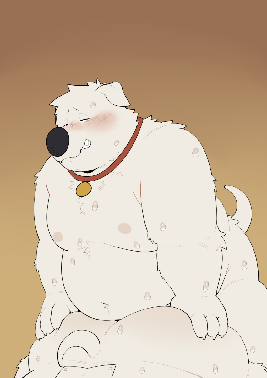 absurd_res anal anthro ass belly blush brian_griffin canid canine canis collar domestic_dog duo family_guy hi_res male male/male male_penetrated male_penetrating male_penetrating_male mammal moobs navel nipples overweight penetration quanjiang robot_brian selfcest sex square_crossover