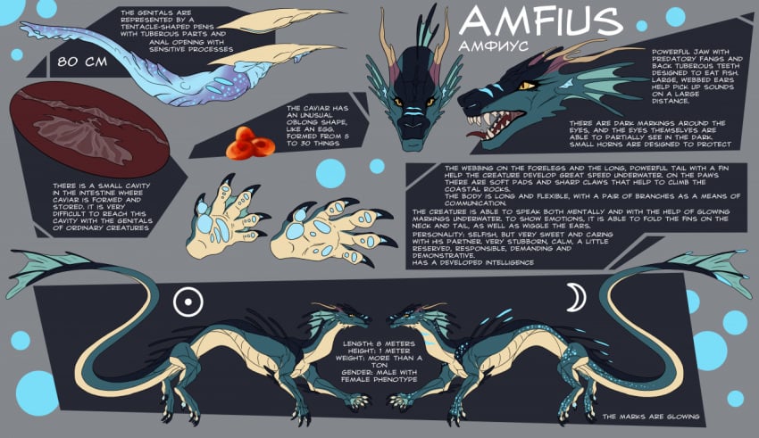 1boy amfius animal_genitalia aquatic_dragon claws cuntboy cuntboy_sans_balls dragon genital_slit genitals herm hermaphrodite internal intersex long_tail male male_focus male_only maleherm marine membrane_(anatomy) model_sheet multi_genitalia ovipositor ovipositor_penis penis pussy sharp_teeth slit small_boop solo solo_focus tail teeth text tongue tongue_out webbed_hands yellow_eyes