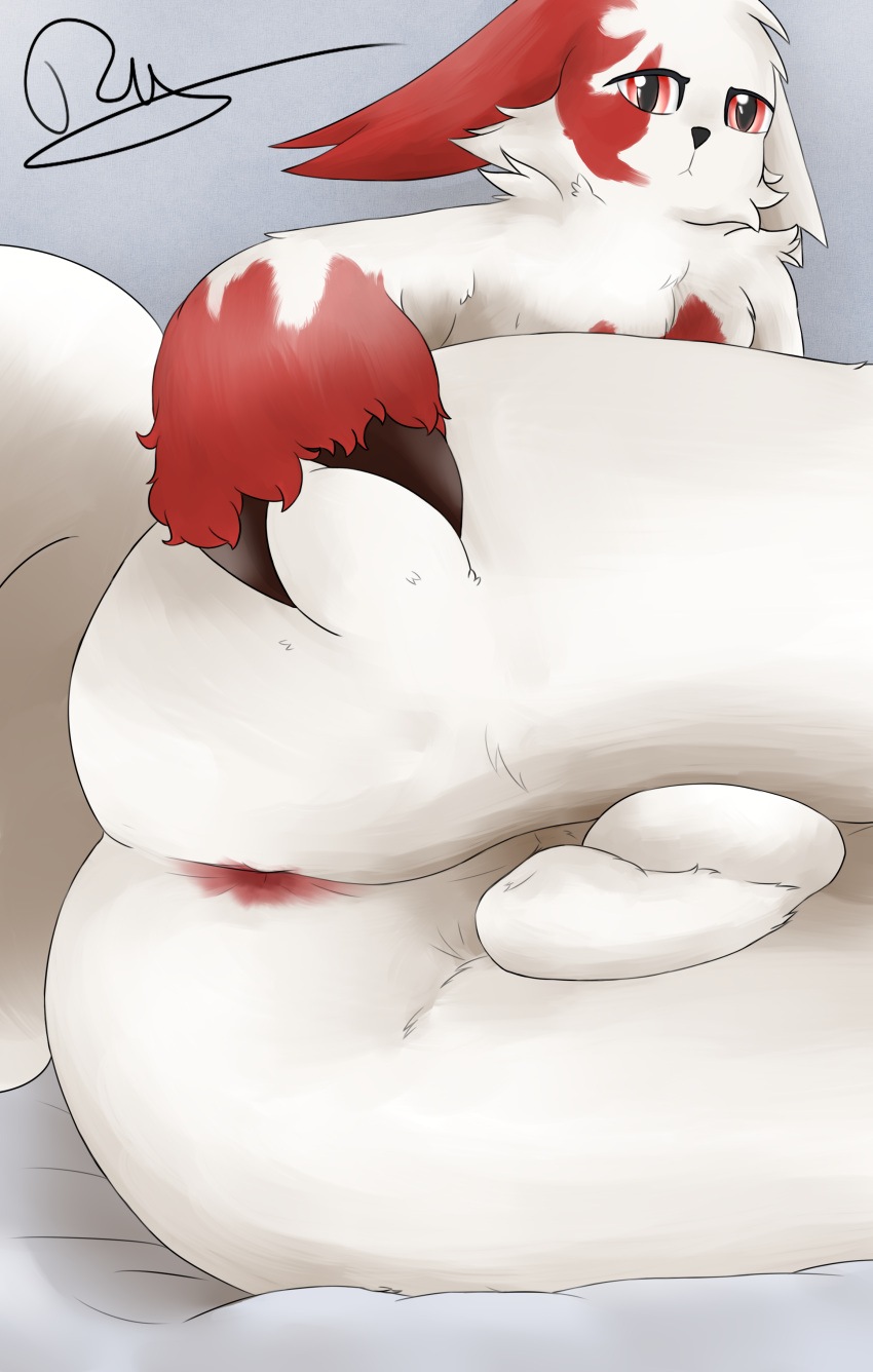 absurd_res anthro anus ass ball_tuft balls big_butt ears_down fur generation_3_pokemon genitals girly hi_res looking_at_viewer low-angle_view male neutral_expression nintendo pivoted_ears pokemon pokemon_(species) red_body red_fur rusoide solo spread_butt spreading tuft zangoose