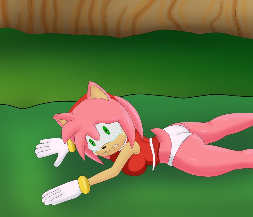 amy_rose ass big_ass big_breasts big_butt crying female furry looking_at_viewer nap´sart on_floor panties pantyshot_(lying) sad_face skirt_up sonic_(series) sonic_the_hedgehog_(series) tears underwear