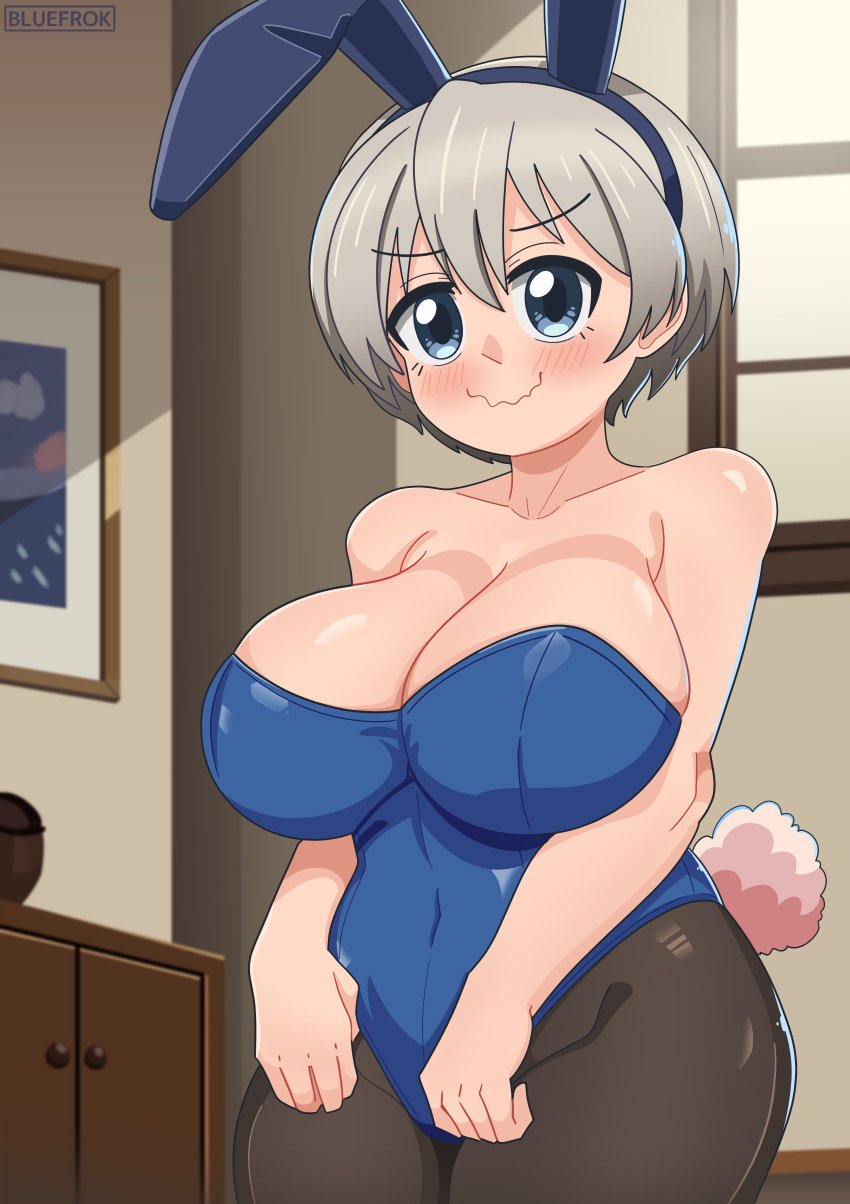 1girls bluefrok bunnysuit embarrassed female female_only solo tagme uzaki-chan_wa_asobitai! uzaki_hana white_hair