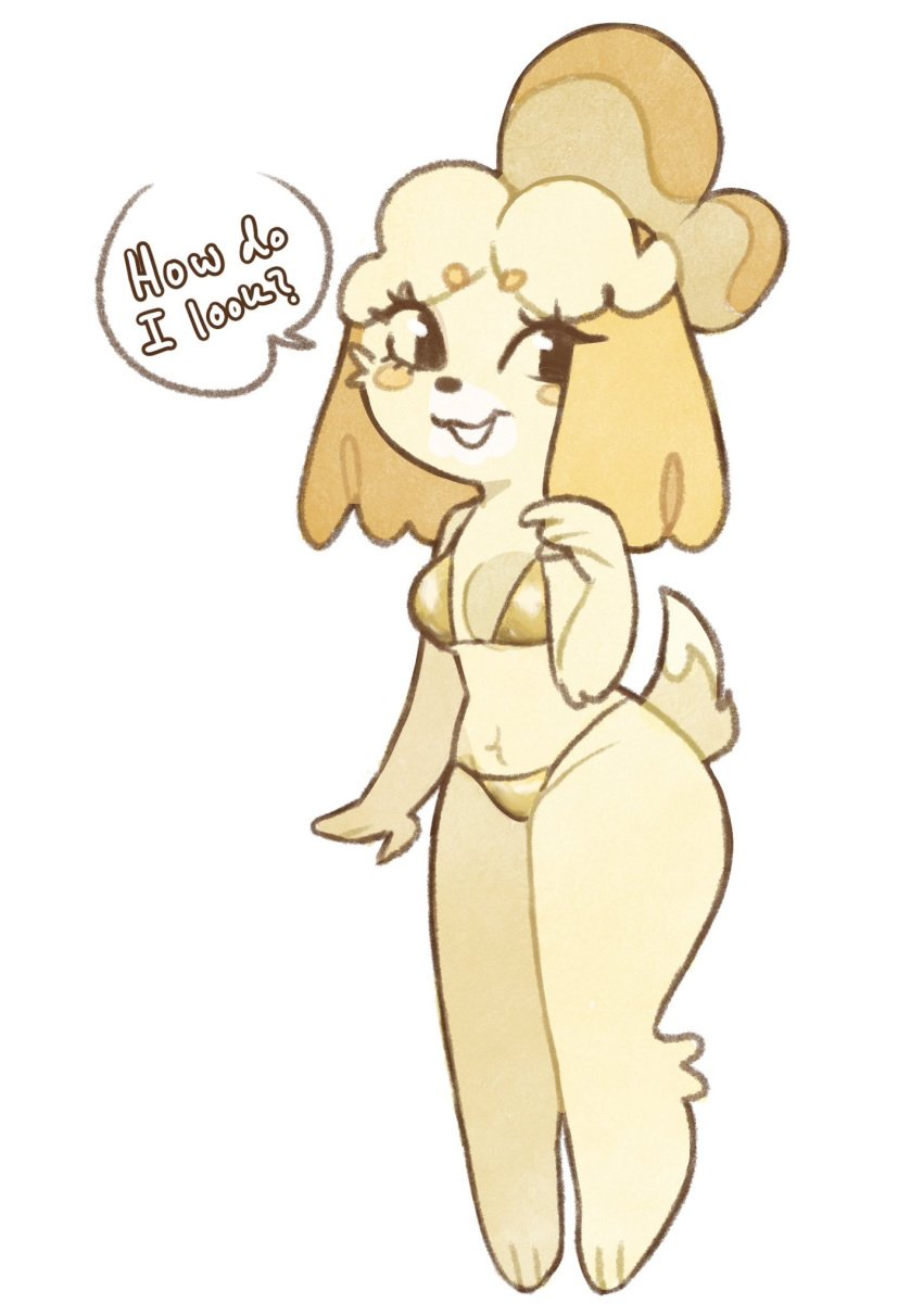 adorable animal_crossing anthro bikini blonde_hair blush bra breasts cleavage clothing cute dialogue domestic_dog female_only isabelle_(animal_crossing) nintendo panties partially_clothed shizuearts solo solo_female tail thick_thighs white_background yellow_fur