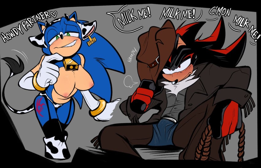 Shadow The Hedgehog (Sonic (Series)) Rule 34 Image
