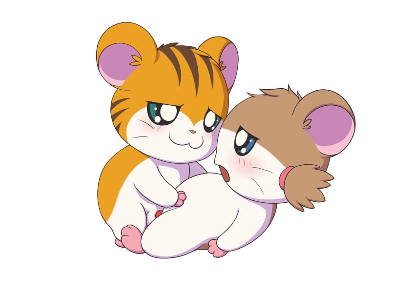 1boy 1girls balls blush female feral feral_on_feral hamster hamtaro_(series) male male/female minum open_mouth penis sex sparkle_(hamtaro) stan_(hamtaro) transparent_background vaginal vaginal_penetration vaginal_sex