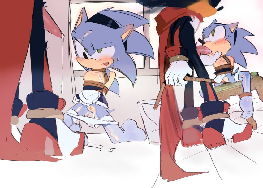 Shadow The Hedgehog (Sonic (Series)) Rule 34 Image