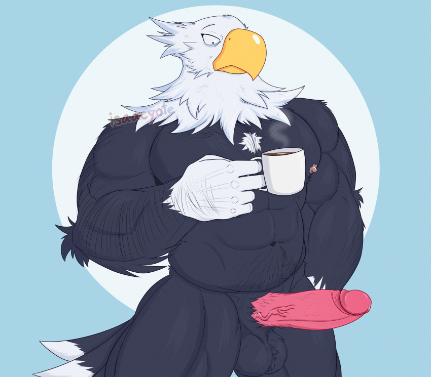 2023 5_fingers abs absurd_res animal_crossing anthro apollo_(animal_crossing) balls biped colored digital_drawing_(artwork) digital_media_(artwork) erection feathers fingers fur furry genitals hi_res holding_mug holding_object humanoid_genitalia humanoid_penis isaacyote_(artist) male mug muscular muscular_anthro muscular_male navel nintendo nipples penis simple_background