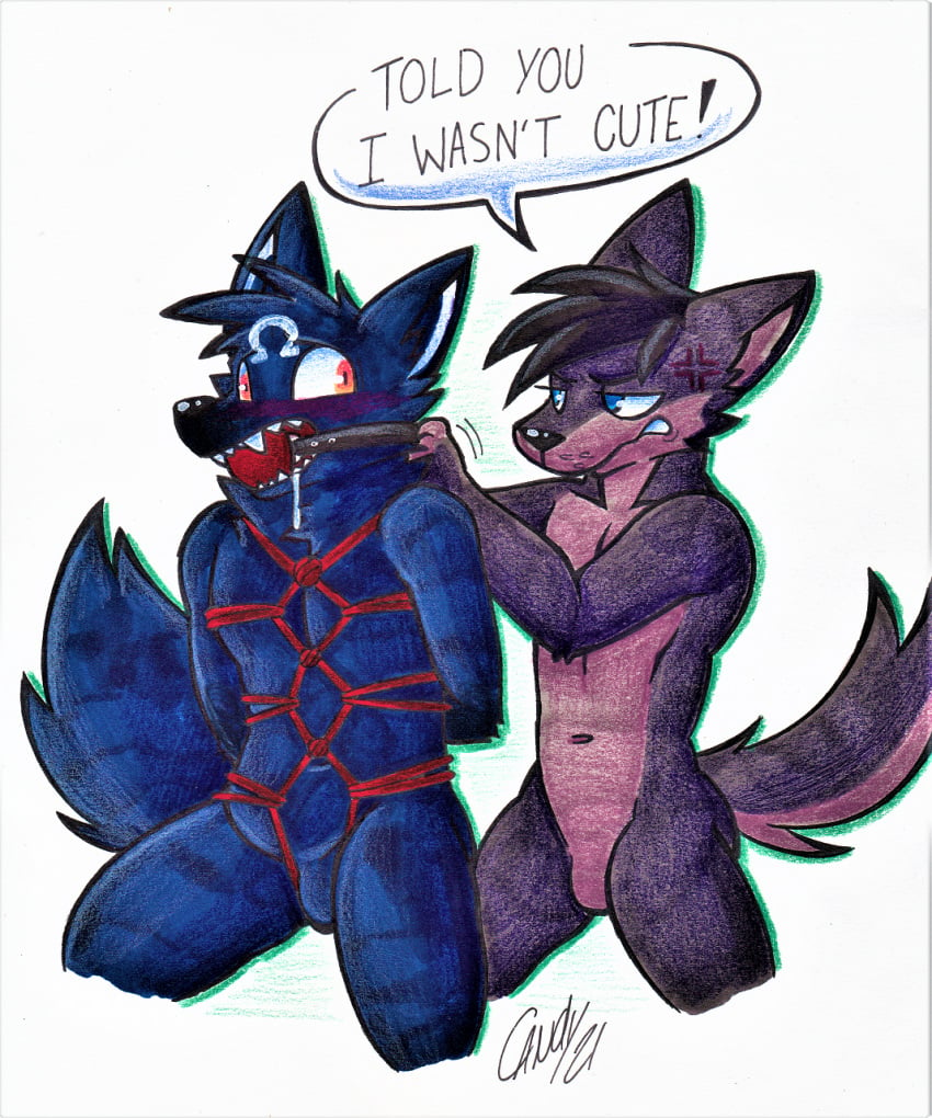 angry annoyed ball blue blush bondage bound bro bros_(disambiguation) candyshybat canid canine canis duo gag hi_res invalid_tag lobo malcolm_(applelover22) male male/male mammal purple restraints rope rope_bondage rope_harness superomegawolf3700 traditional_media_(artwork) wolf