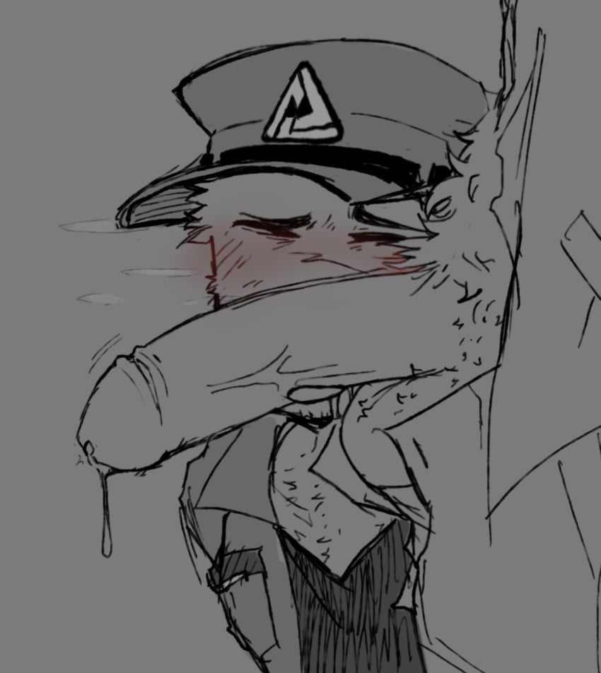 Commander (Tds) Rule 34 Image