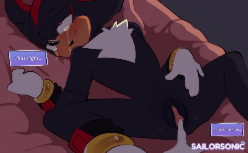 Shadow The Hedgehog (Sonic (Series)) Rule 34 Image