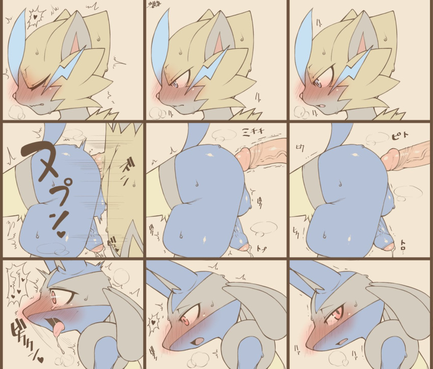 anal anal_sex anthro balls blue_body blue_eyes blush closed_eyes duo generation_4_pokemon generation_7_pokemon genitals hi_res humanoid_genitalia humanoid_penis legendary_pokemon lucario male male/male male_penetrated male_penetrating male_penetrating_male nintendo open_mouth penetration penis pokemon pokemon_(species) quality sex shaolin_bones simple_background yellow_body yellow_eyes zeraora