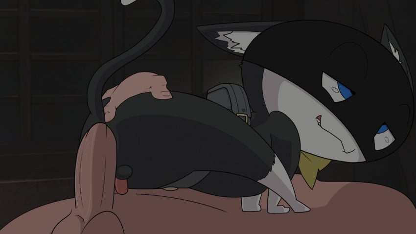 a_cat_is_fine_too anal animated anthro cat_ears enjoying feline gay loop looping_animation morgana_(persona) penis persona_5 sex size_difference tagme talentlesshack