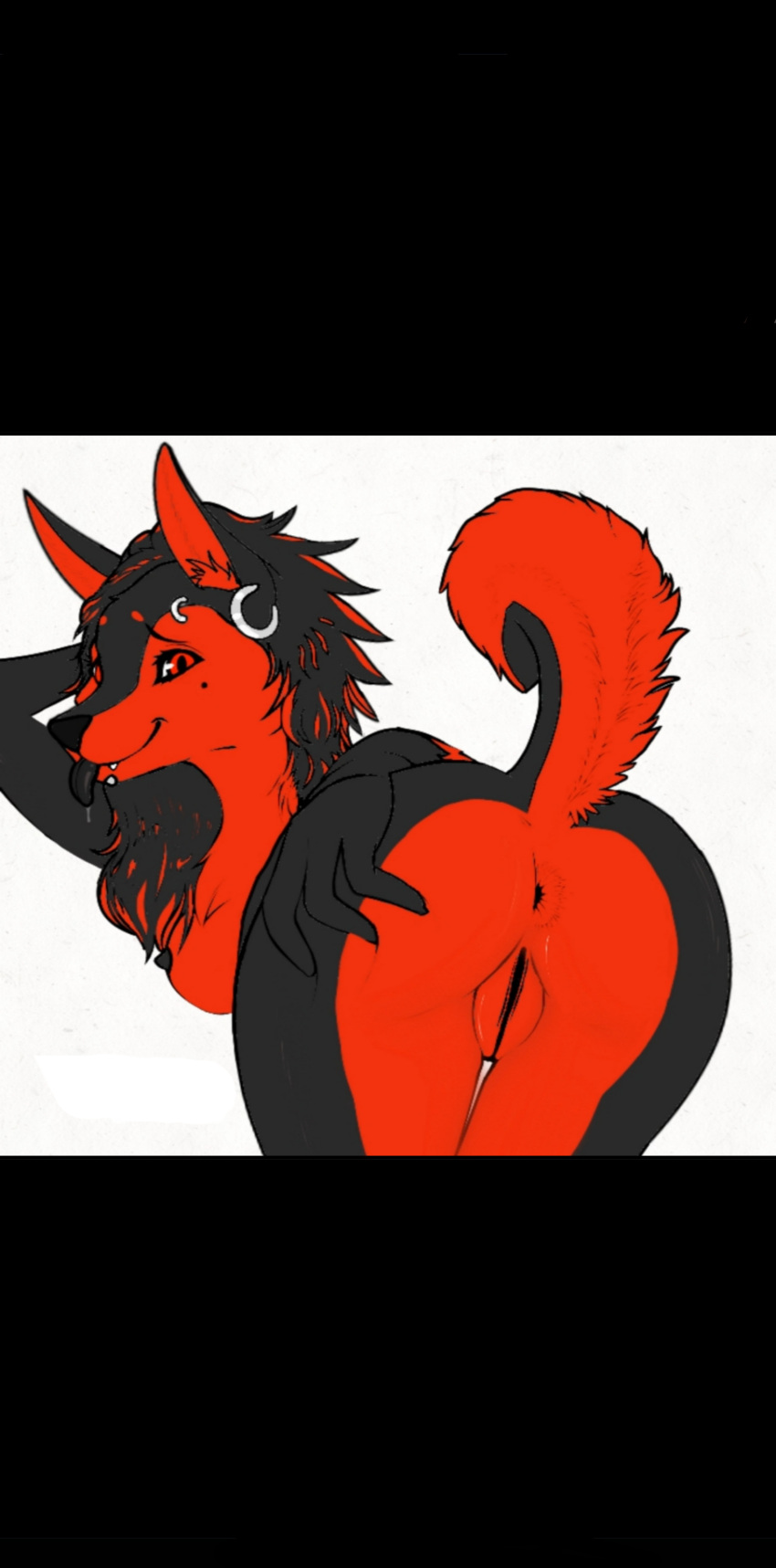 absurd_res anthro anus ass black_body black_nose breasts canid canine canis ears_up female fluffy fluffy_tail fur genitals hair hepicant hi_res long_ears mammal piercing pose pussy raised_tail red_body red_eyes smiley_face solo spiked_ears tail wolf zoe_(nnecgrau)