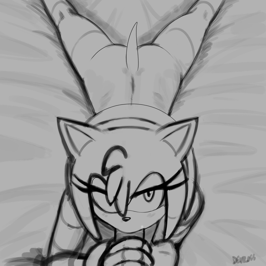 Amy Rose (Sega) Rule 34 Image