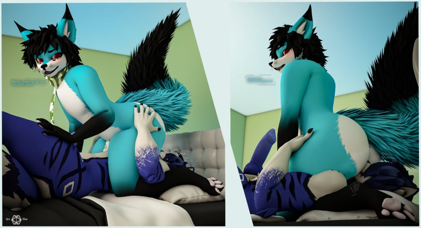 2025 3d_(artwork) anal animal_genitalia animal_penis anthro arched_back ass bed bedroom big_butt black_hair blue_body blue_fur blue_penis blush bodily_fluids butt_heart canid canine canine_genitalia canine_penis claws dialogue digital_media_(artwork) duo erection facesitting fox fur fur_markings furniture genital_fluids genitals growling hair hand_on_butt hand_on_leg hand_on_thigh hi_res hybrid inside leaking_precum licking looking_at_another male male/male mammal markings on_bed oral pawpads paws penis precum red_eyes rimming rimming_male sex sheath simple_background sitting_on_another smile surprised_expression syn-blue syntax_blue text tongue true_fox two_panel_image volt_(voltaicharbor32) whiskers white_body white_fur white_pawpads white_penis
