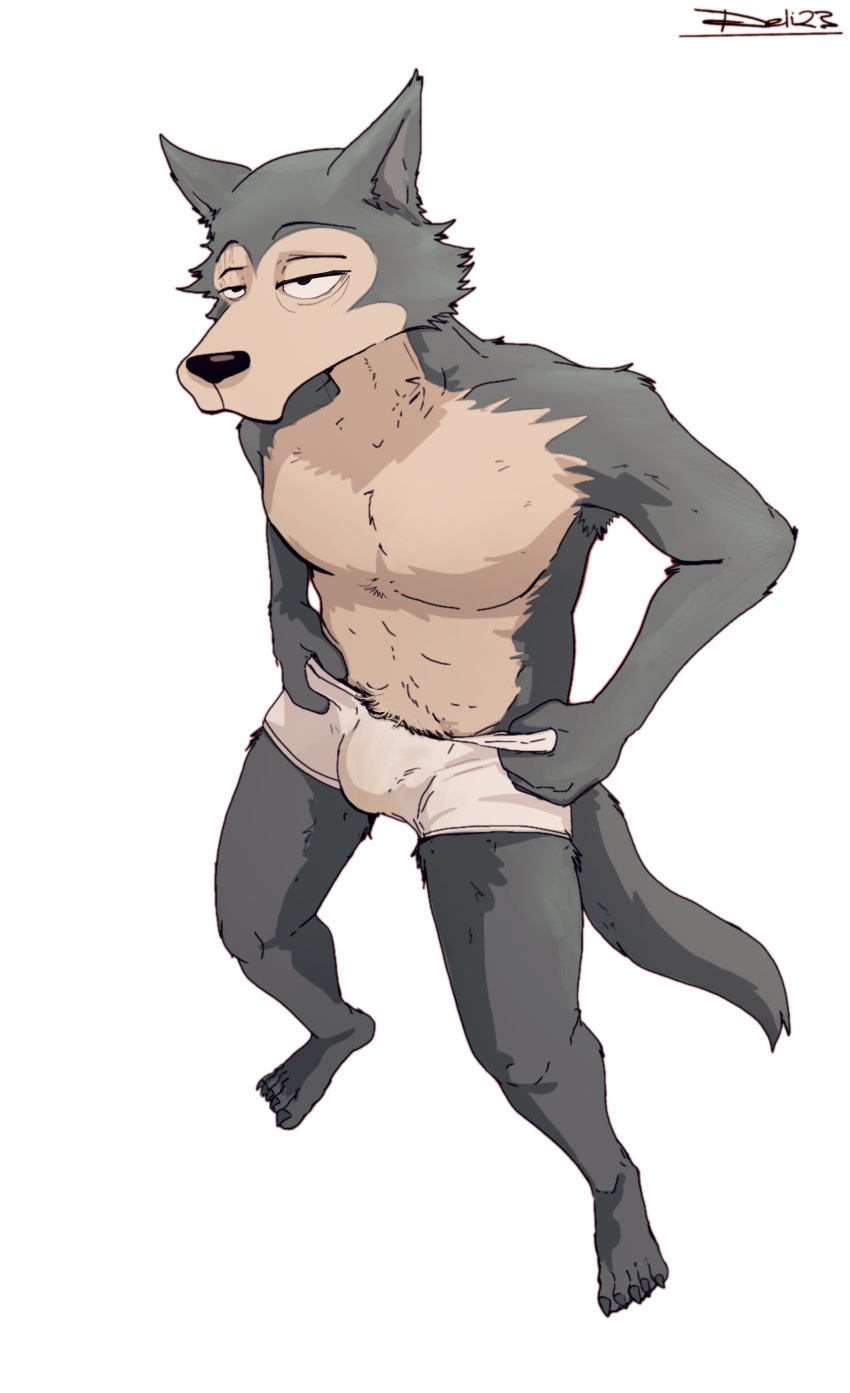 absurd_res anthro beastars bulge canid canine canis clothing delirost hi_res legoshi_(beastars) male male_only mammal pubes putting_on_clothes slim solo tired underwear wolf